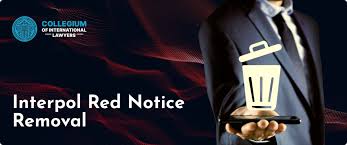 Strengthening Control Over Financial Operations Interpol's Role